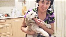 Приколы с Животными 2018 Собаки и Сосиски Смешные Видео про Собак Funny Dogs and Sausages - Videoclip.bg