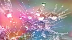 Капчици красота и музика за лека нощ - Videoclip.bg