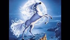 Да докоснеш дивите коне - Videoclip.bg