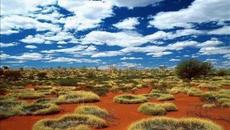 Пустинен Оазис и Музика - Videoclip.bg