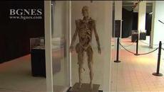 Изложба с истински човешки тела в мола - Videoclip.bg