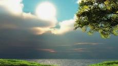 Кой направил е цветята и слънчицето да изгрява... - Videoclip.bg