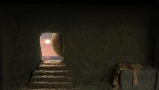 Празнуваме ден на реставратора! Реставратор влезе в Божи гроб ! Ο Τάφος Του Ιησού | Ντοκιμαντέρ - Videoclip.bg