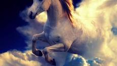 Невероятна красота!!!  Вижте най-красивите коне в света - Videoclip.bg