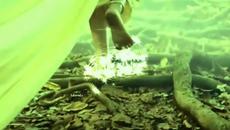 Най-вълшебният ден с музика - Videoclip.bg