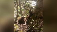 Спасиха три малки мечета край язовир "Доспат" - Videoclip.bg