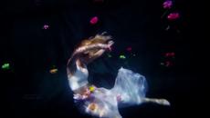 Bernward Koch  -  красота... - Videoclip.bg