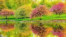 ✿ Пролетта е във въздуха!  ... (Giovanni Marradi music) ✿ - Videoclip.bg