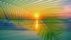 Морски мечти! ... ...  (music Sweet People) - Videoclip.bg