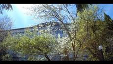 Загадываем желания! Полнолуние 29 мая 2018 - Videoclip.bg