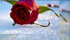 Светлана Голко —  Это все для Вас - Videoclip.bg