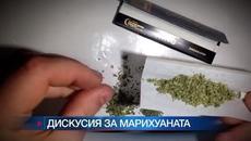 Марихуаната в България все по-достъпна – продажбите на канабис са се увеличили двойно за 8 години - Videoclip.bg
