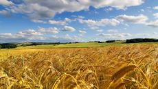 5 юни Световен ден на околната среда! Най-красивите поля - Videoclip.bg