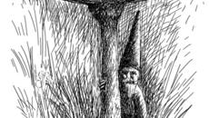 Невероятно! Вижте градински гномове снимани по света (ВИДЕО) - Videoclip.bg