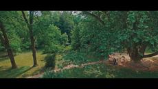 DARIO BOTIC- GODINE UKRADENE (OFFICIAL VIDEO) - Videoclip.bg