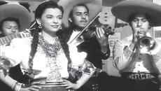 “Borrachita de tequila“ – Irma Vila - Videoclip.bg