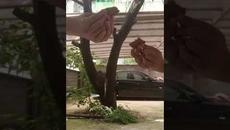 Кулбурация с kokicha BG стоименов ВИДОВЕ ФИЛМИ част 2 #МЕГА СМЯХ - Videoclip.bg