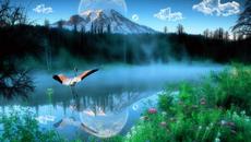 ಌ  Раят на фламингото  ಌ - Videoclip.bg