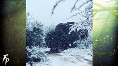 Вижте заваля  сняг над Южна Африка (ВИДЕО) WOW! Snowfall in South Africa (Sept 9, 2018) - Videoclip.bg