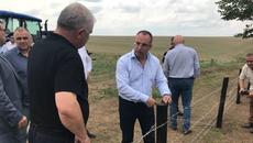 България и Румъния със спешни мерки за борба с африканската чума - Videoclip.bg