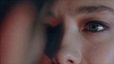 Damir Kule (Live ) - Videoclip.bg