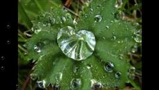 Mузиката на дъжда - Videoclip.bg