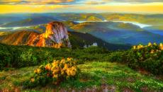 •✿•  Планински цветя  •✿• - Videoclip.bg