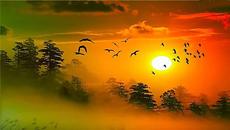 ~*~  Залезите от съня ми  ~*~ - Videoclip.bg