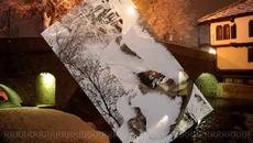 Vivaldi - Four Seasons (winter) - Videoclip.bg