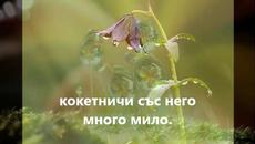 Моята България - Капчица слънце - Videoclip.bg