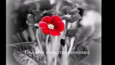 За Добро утро с Музика! Знаци на спасение - Videoclip.bg