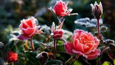 Осенний иней... снег в кострах - Videoclip.bg