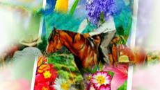 3елени Балкани - Videoclip.bg