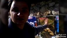 ПРАЗНИК НА КОПРИШКИЯ БРАБОЙ влог 1 - Videoclip.bg