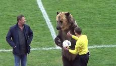 Вижте мечката Тима - Талисмана на Световното по футбол в Русия как се готви за шампионата! - Videoclip.bg