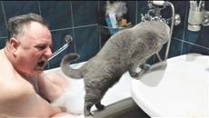 Животные Приколы 2018 Смешные Собаки и Кошки Видео Приколы с Собаками и Другими Животными - Videoclip.bg