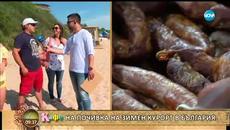 Здравко от Big Brother с любопитни разкази за две свои вълнуващи пътувания - „На кафе” (19.06.2018) - Videoclip.bg