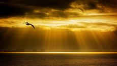 Блясъкът на морския залез! ... (Gomer Edwin Evans) - Videoclip.bg