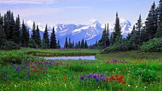 Планински цветя! ... ... (Gomer Edwin Evans) - Videoclip.bg