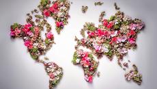 •✿• Красотата на всяко едно цвете! ... (music Frédéric Delarue) •✿• - Videoclip.bg