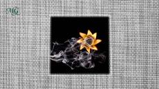 Flame shape - Videoclip.bg