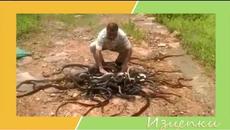 За идиотите граници няма! Луди изцепки! :D - Videoclip.bg