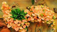 •✿• АНТУРИУМ ... (music Richard Clayderman) •✿• - Videoclip.bg