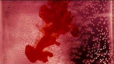 Trustful - Videoclip.bg