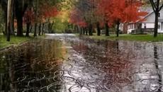 Сергей Ищенко    -     ПРОЩАЙ, МАЛЫШ, Я ЗНАЮ ТЫ ГРУСТИШЬ... - Videoclip.bg