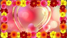 •✿•  Колоритни гербери! ... ... (music Bandari)  •✿• - Videoclip.bg