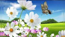 Сергей ТКАЧ  —  А лето цвета неба... - Videoclip.bg