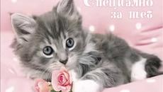 Специално за теб - Videoclip.bg