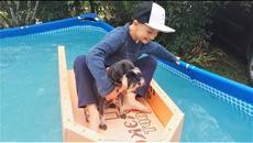 Приколы с Животными 2018 Новые Русские Приколы про Собак Подборка приколов с Cобаками #365 - Videoclip.bg