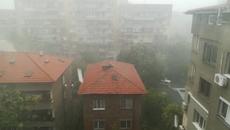 Силен дъжд и буря в Пловдив днес изпочупи клоните на дърветата - Videoclip.bg